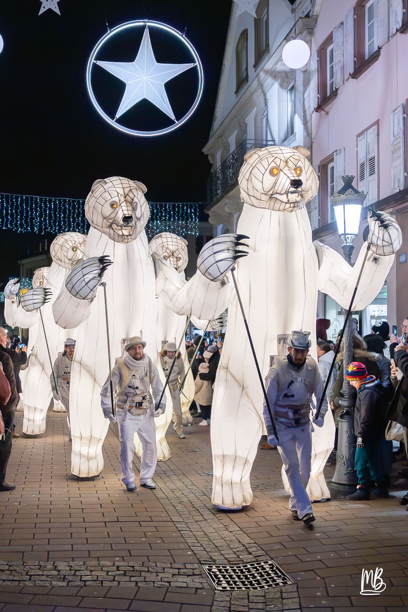 MB2024 CIE REMUE MENAGE(Gueule d'ours) (26 sur 107)